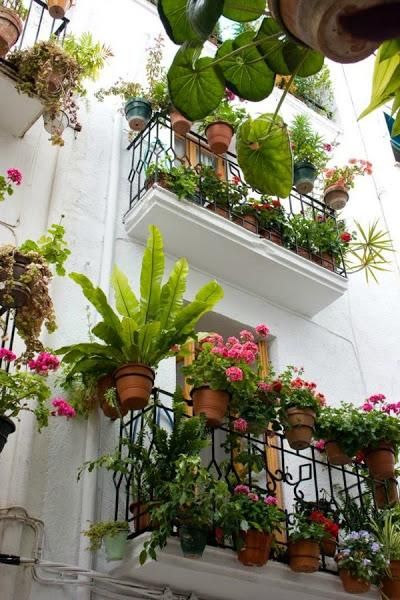 jardin de balcon